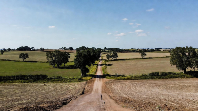 Informação é poder: Aldo Vendramin explica como o BI rural transforma dados públicos em decisões mais rentáveis.